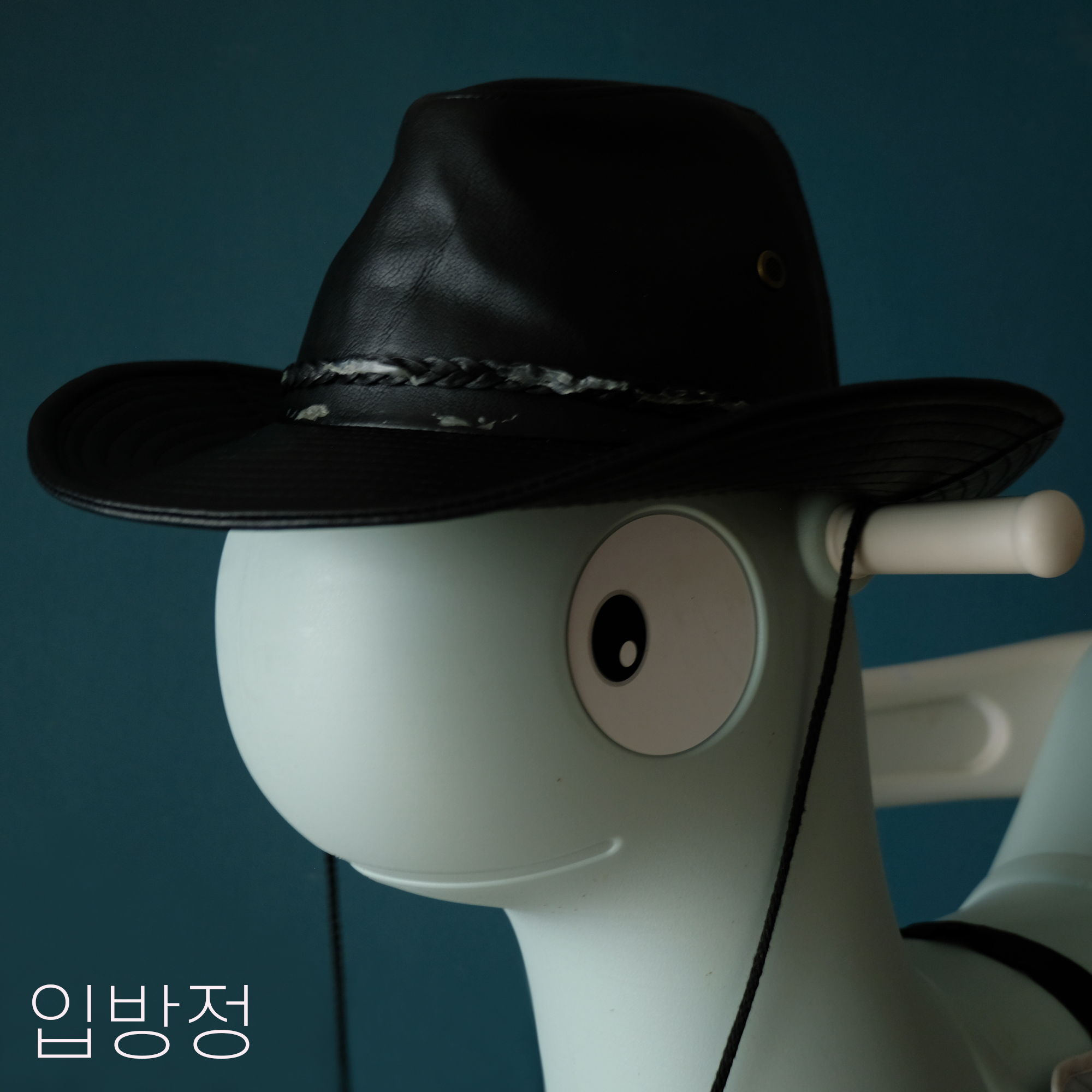 입방정